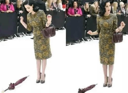 蒂塔万提斯（Dita Von Teese）是谁 最优雅的舞娘预览图